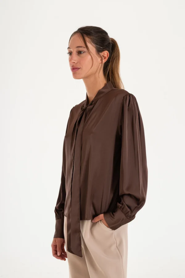 Camisa satinada con cuello redondo y lazo (16506)