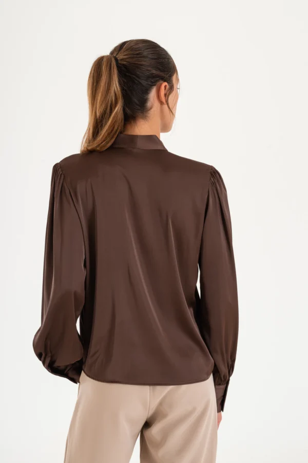Camisa satinada con cuello redondo y lazo (16506)