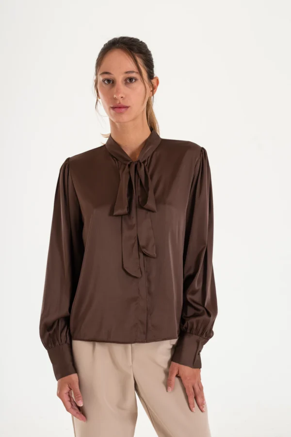 Camisa satinada con cuello redondo y lazo (16506)