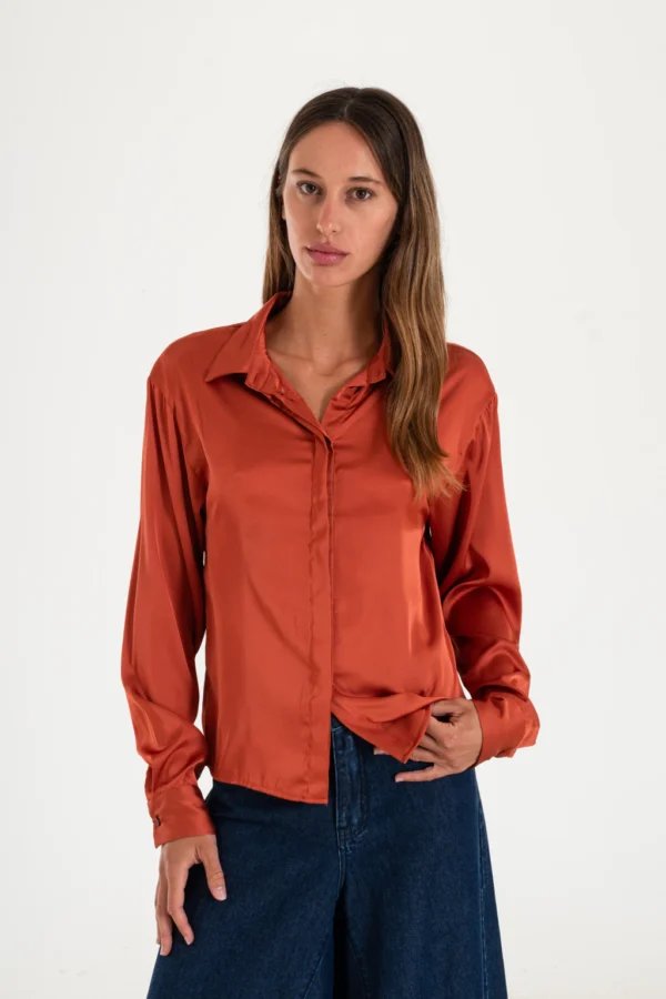 Camisa satinada con botones ocultos (16516)