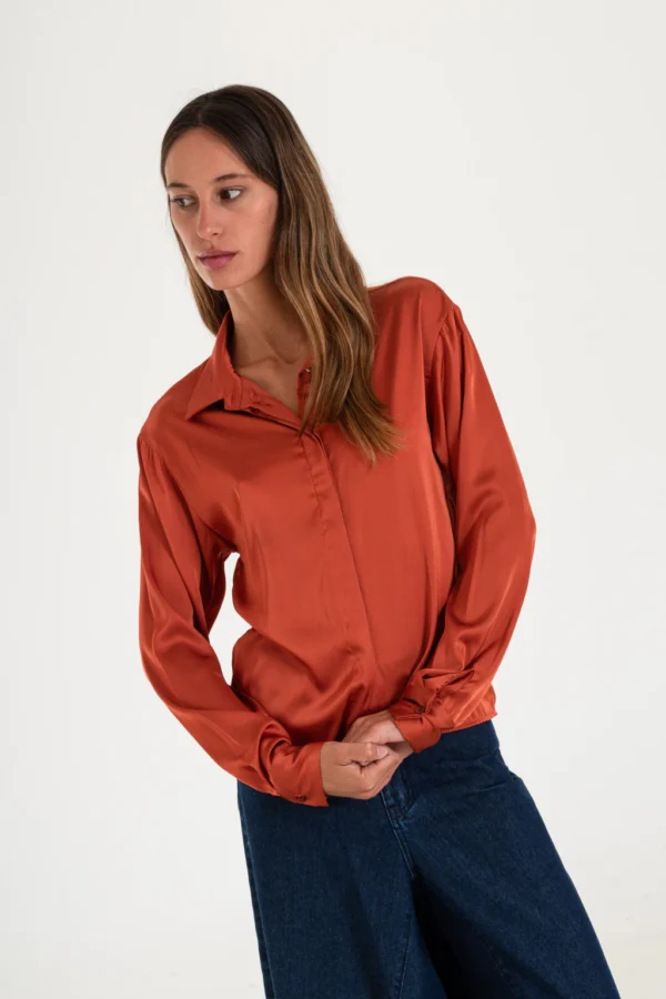 Camisa satinada con botones ocultos (16516)